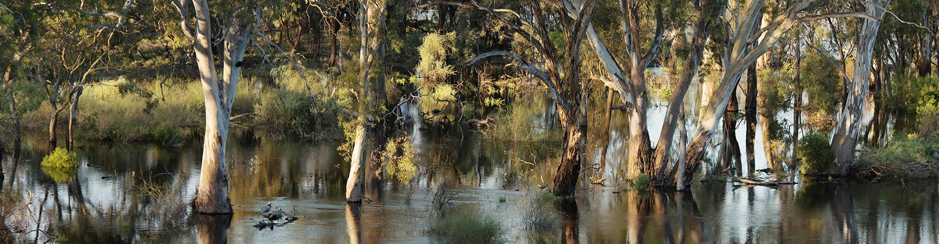 Riverland region